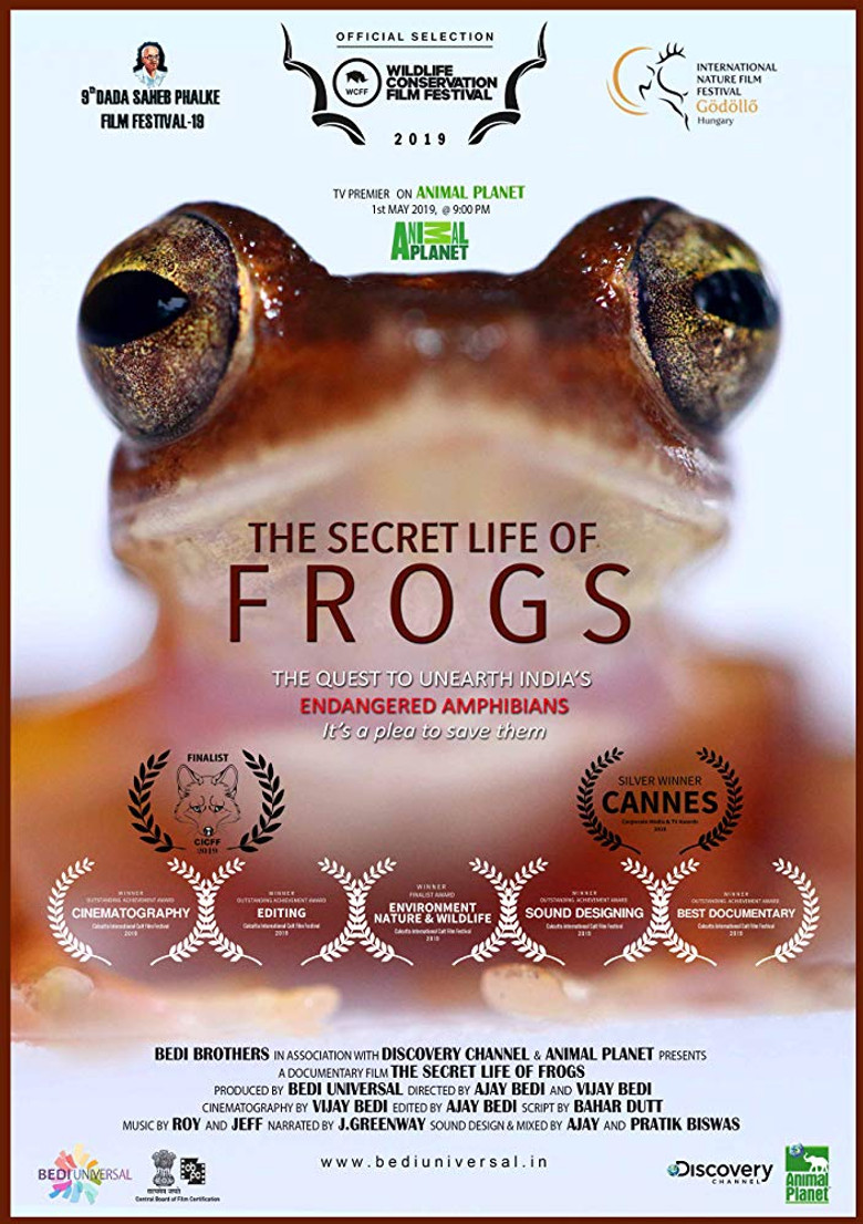 The Secret Life of Frogs poster