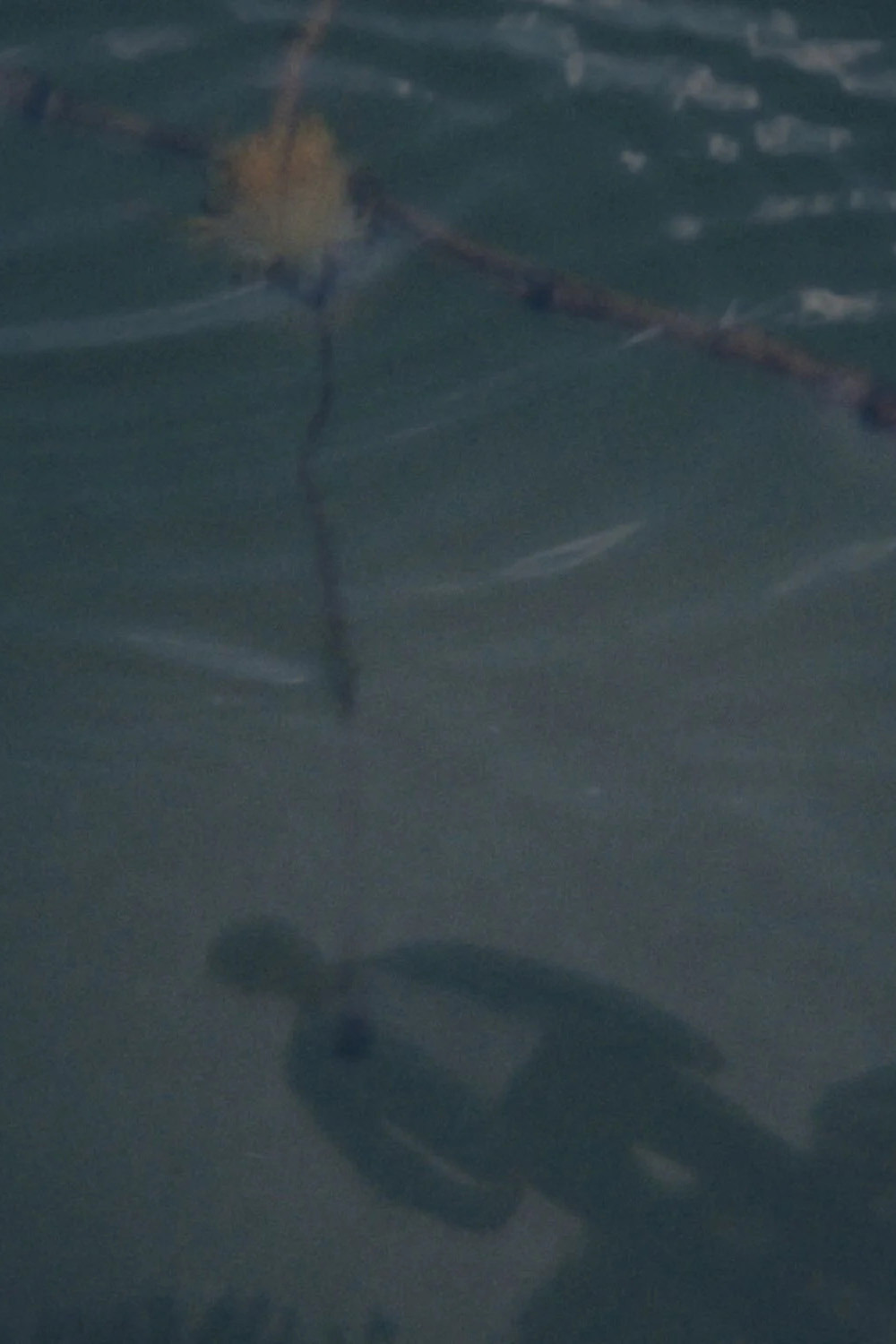 You Dreamt You Saw Yourself But Couldn’t See Your Face poster