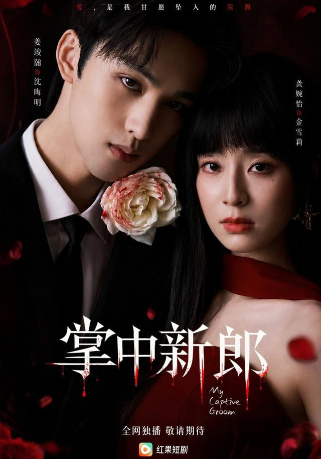 掌中新郎 poster