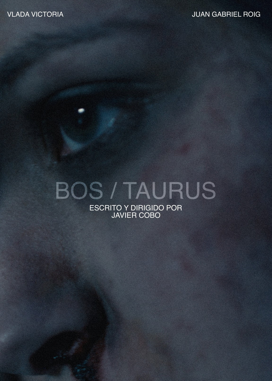 Bos/Taurus poster