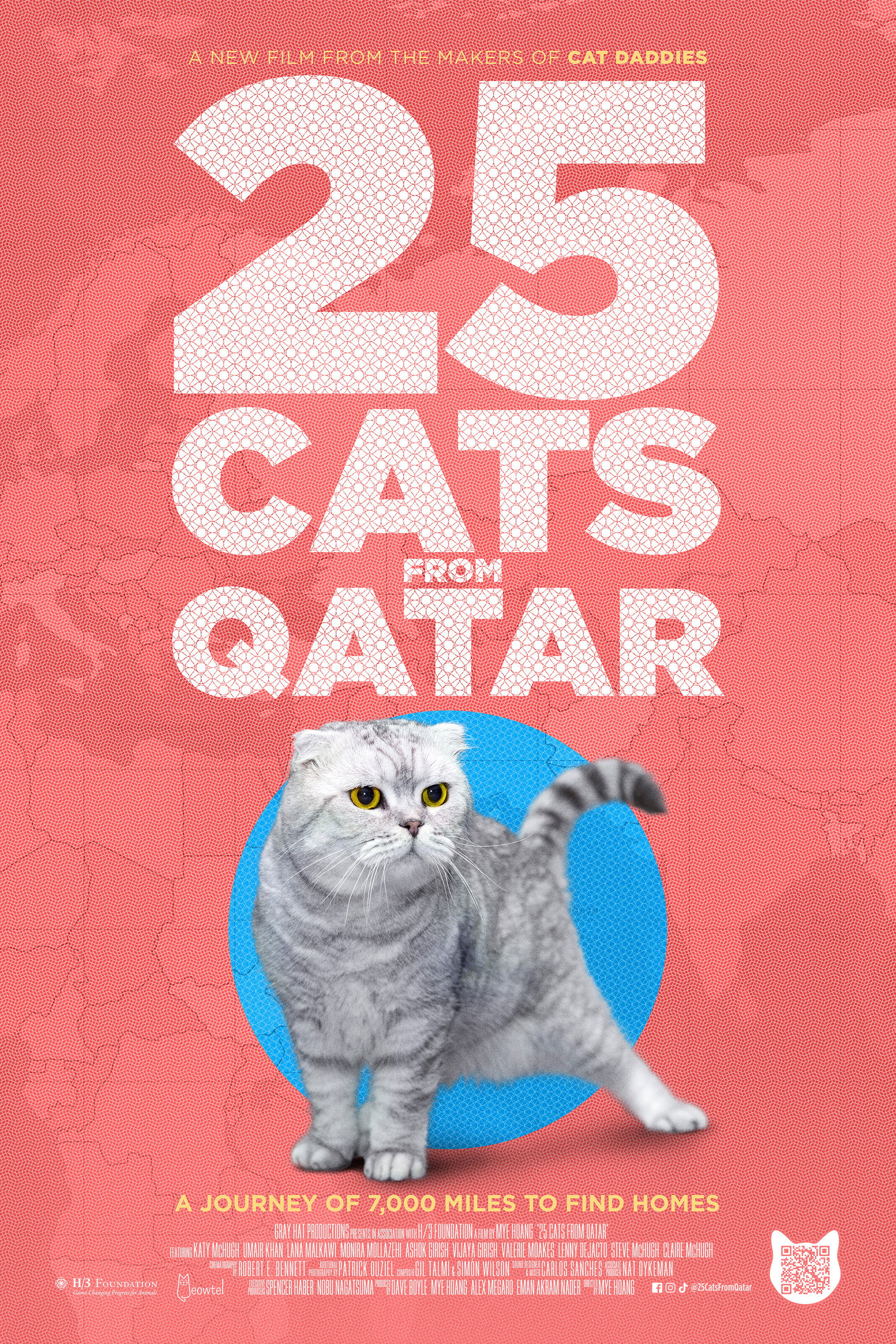 25 Cats from Qatar poster