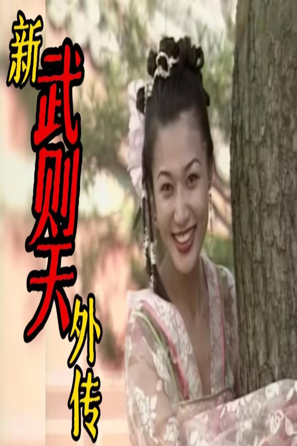 新武则天外传 poster