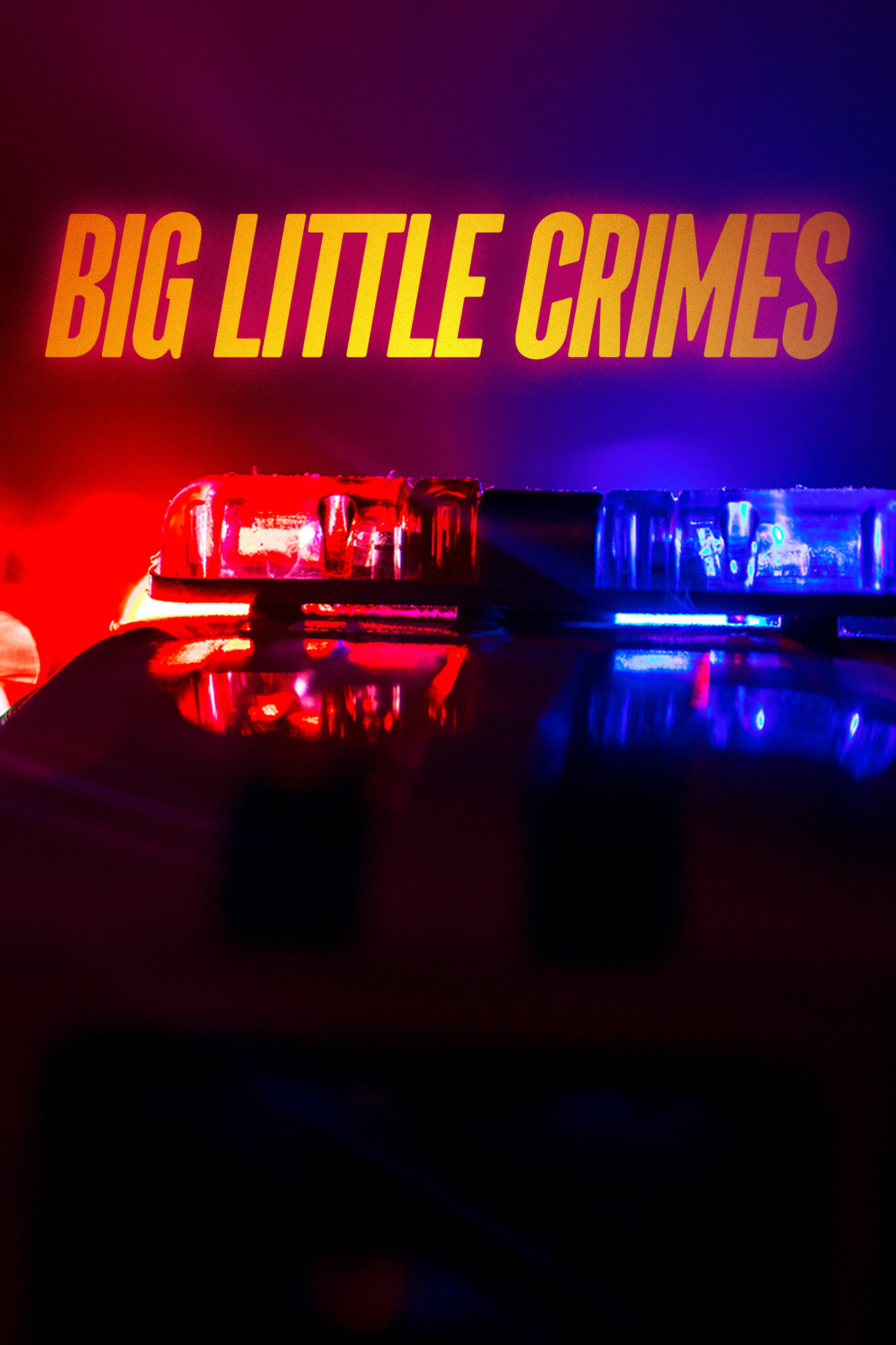 Big Little Crimes poster