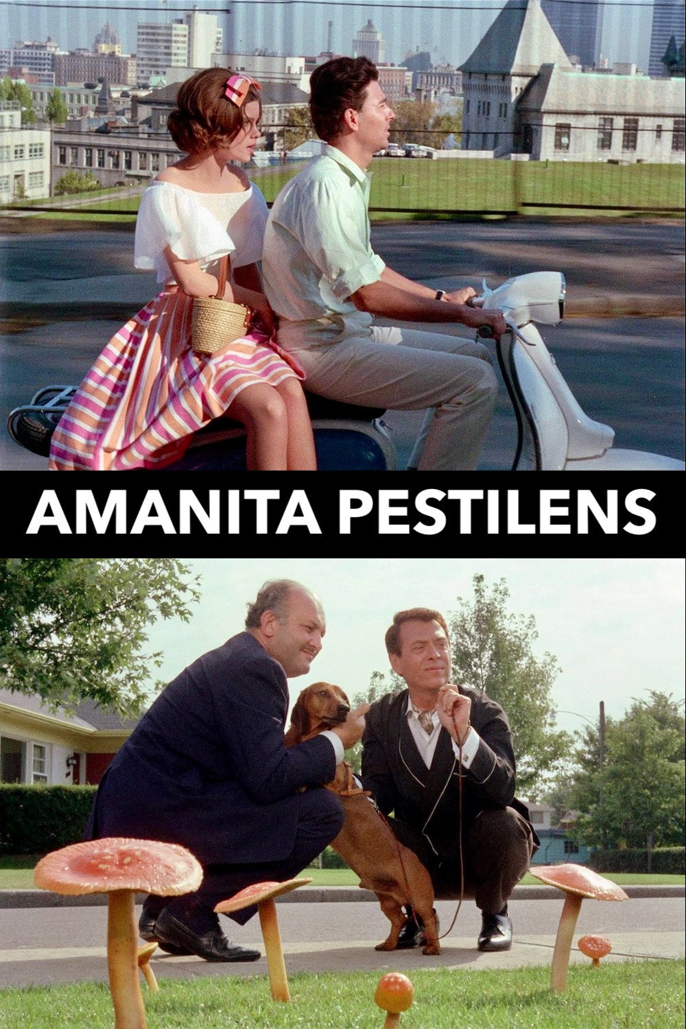 Amanita Pestilens poster