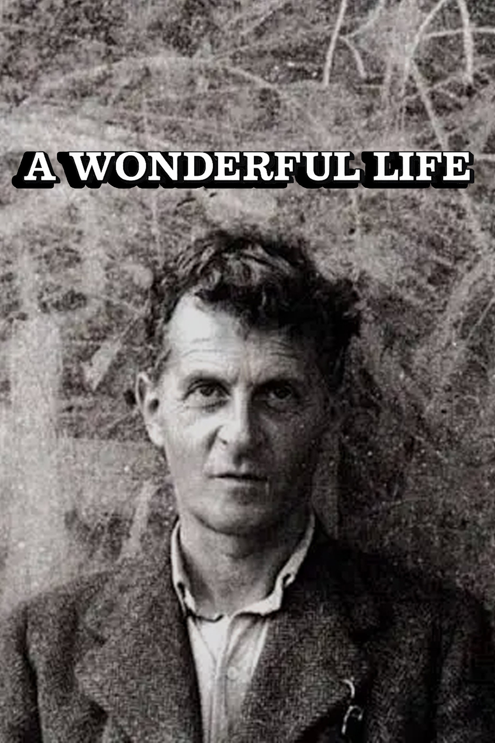 Wittgenstein: A Wonderful Life poster