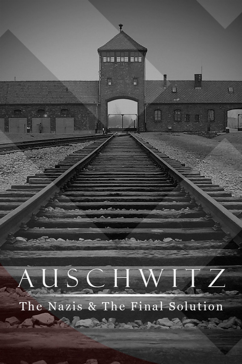 Auschwitz: The Nazis and the Final Solution poster