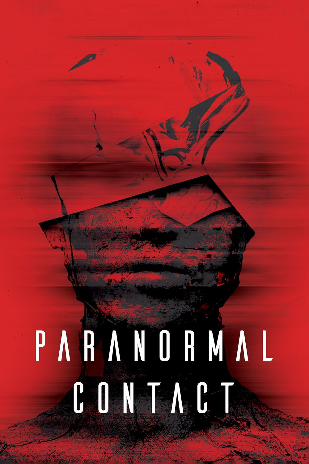 Paranormal Contact poster