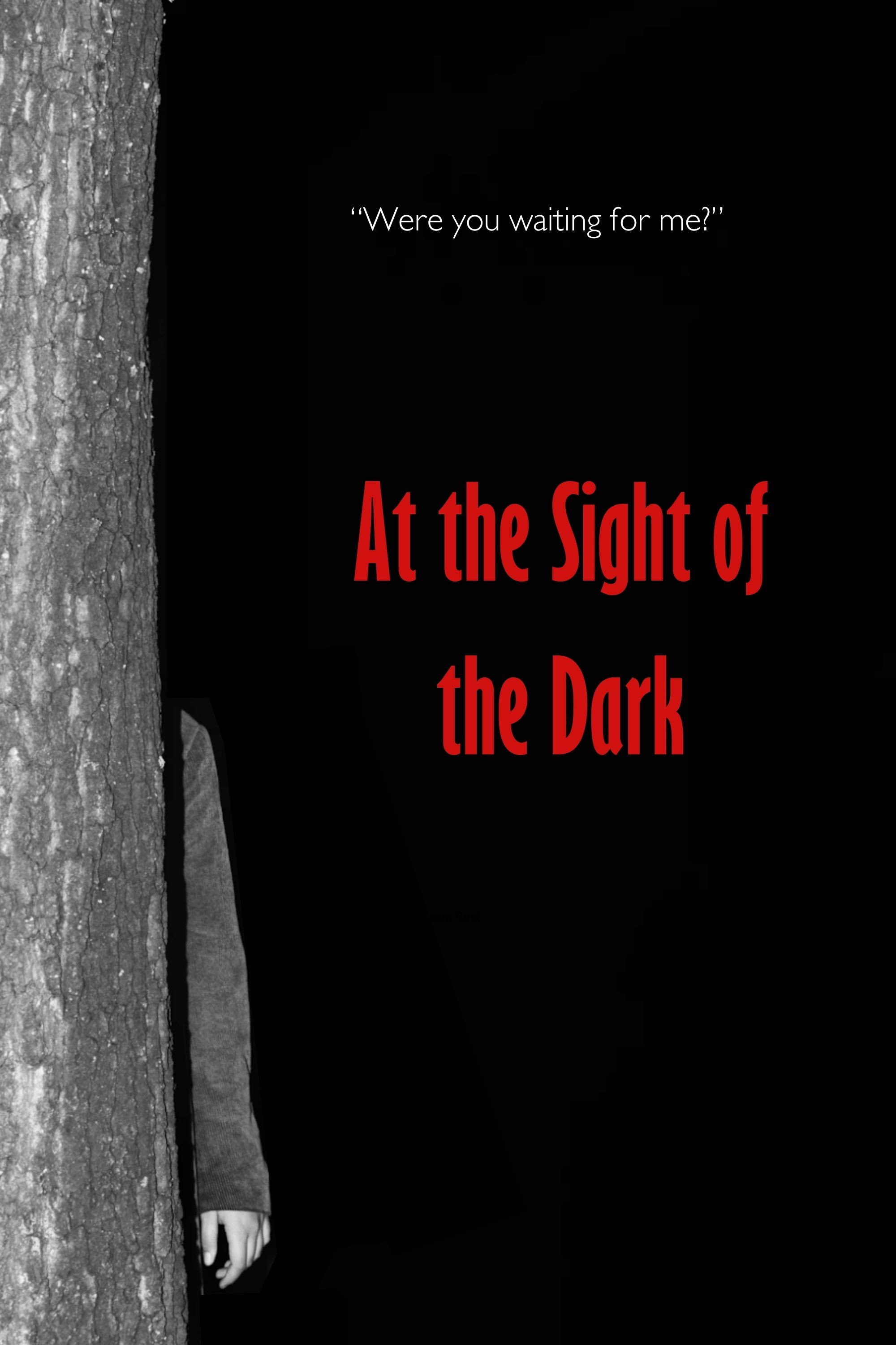 At the Sight of the Dark poster