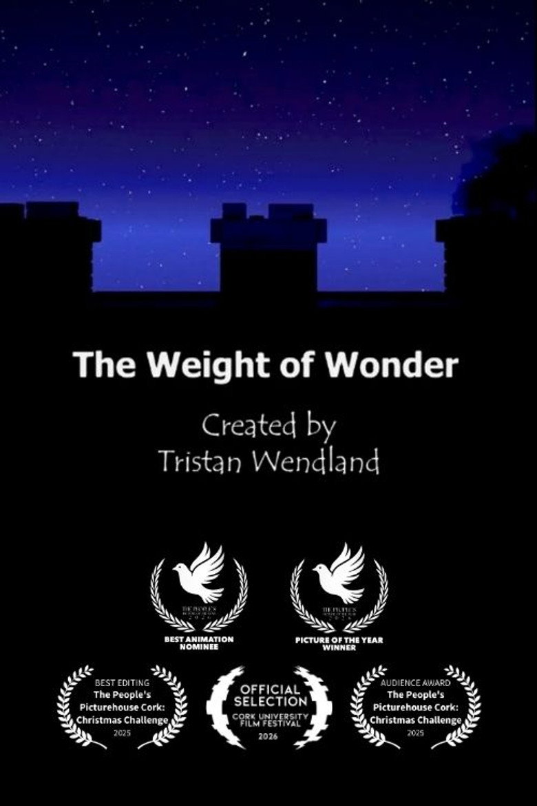 The Weight Of Wonder poster