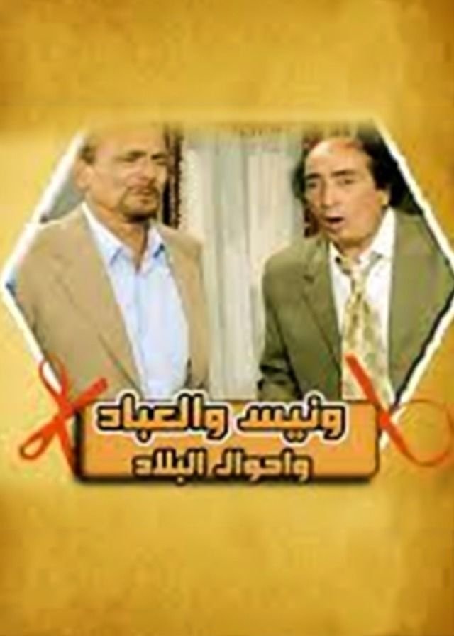 Wanees's Diaries poster