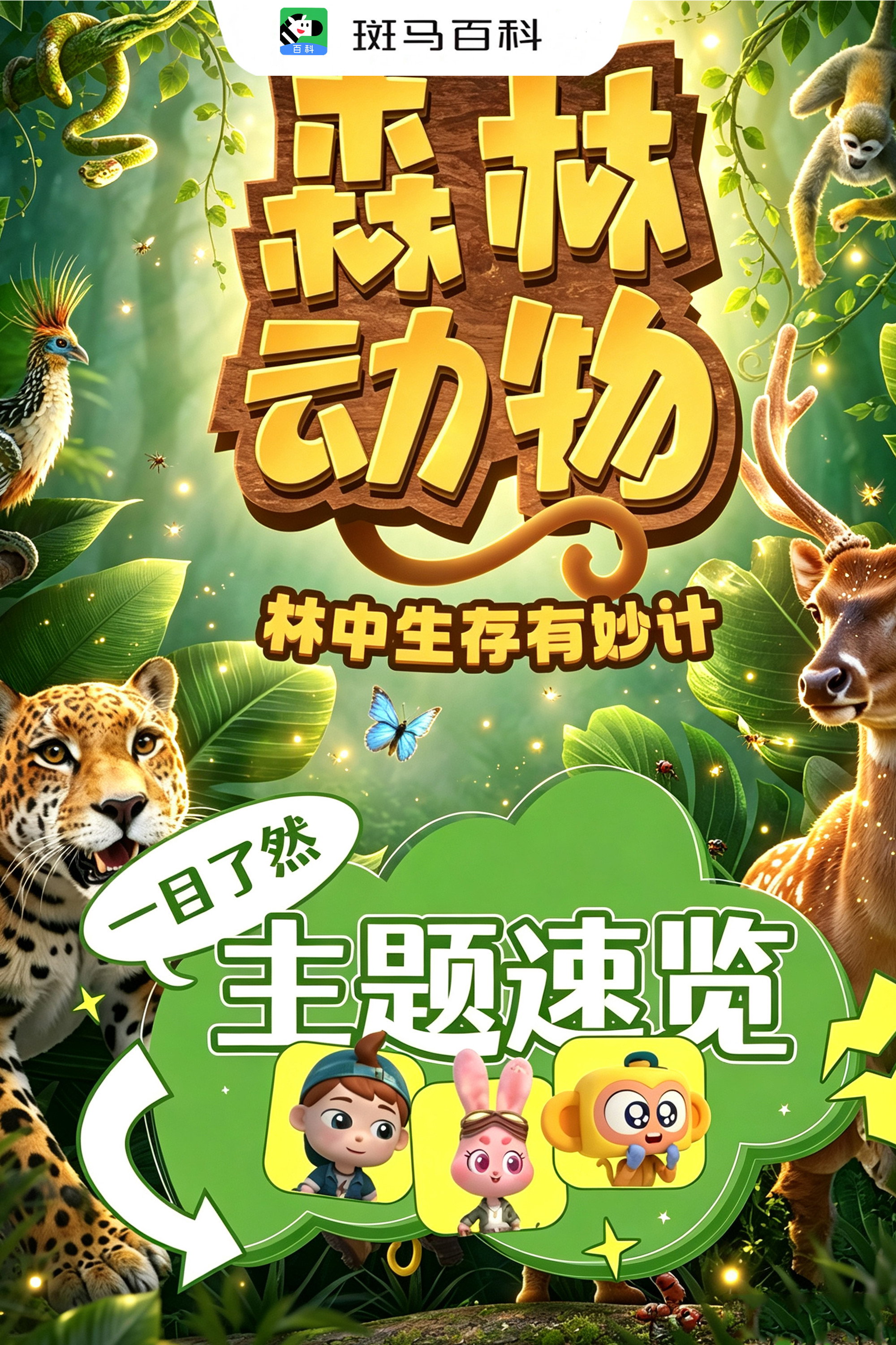 自然万象—森林动物 poster