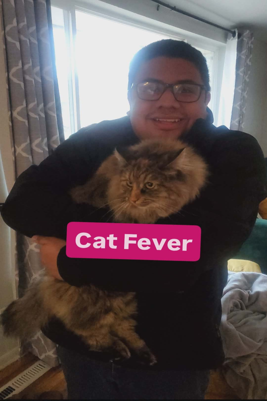 Cat Fever poster