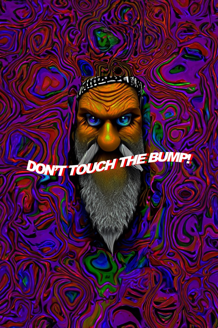 Don't Touch the Bump! poster