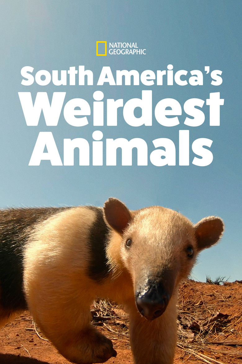 South America's Weirdest Animals poster