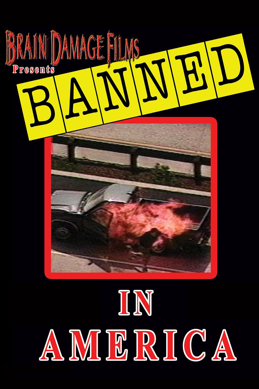 Banned! In America I poster
