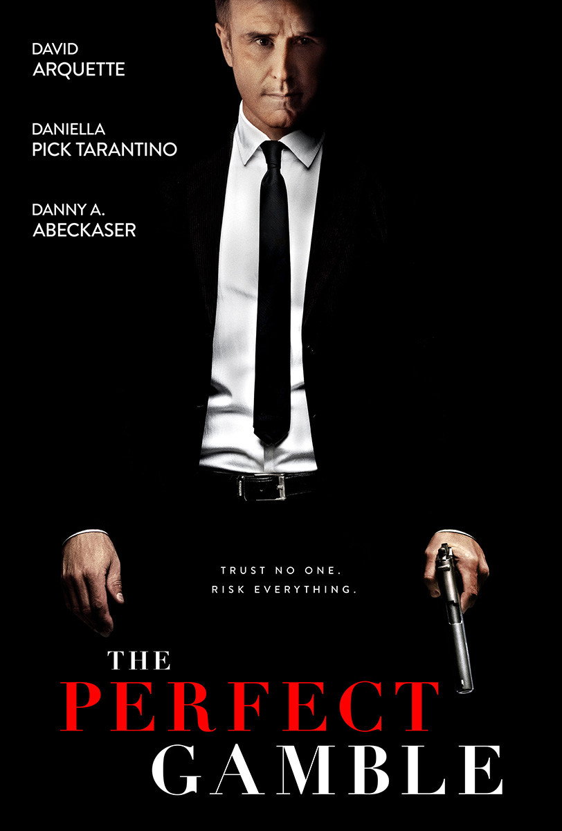 The Perfect Gamble poster