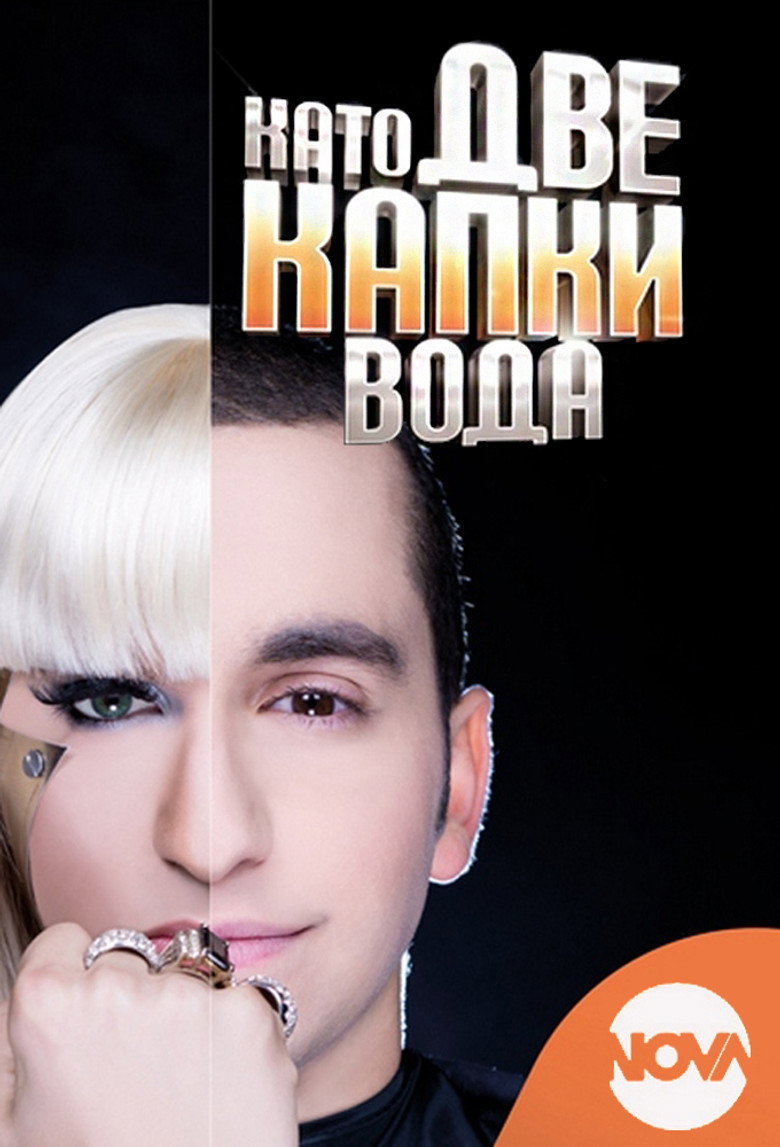 Your Face Sounds Familiar poster