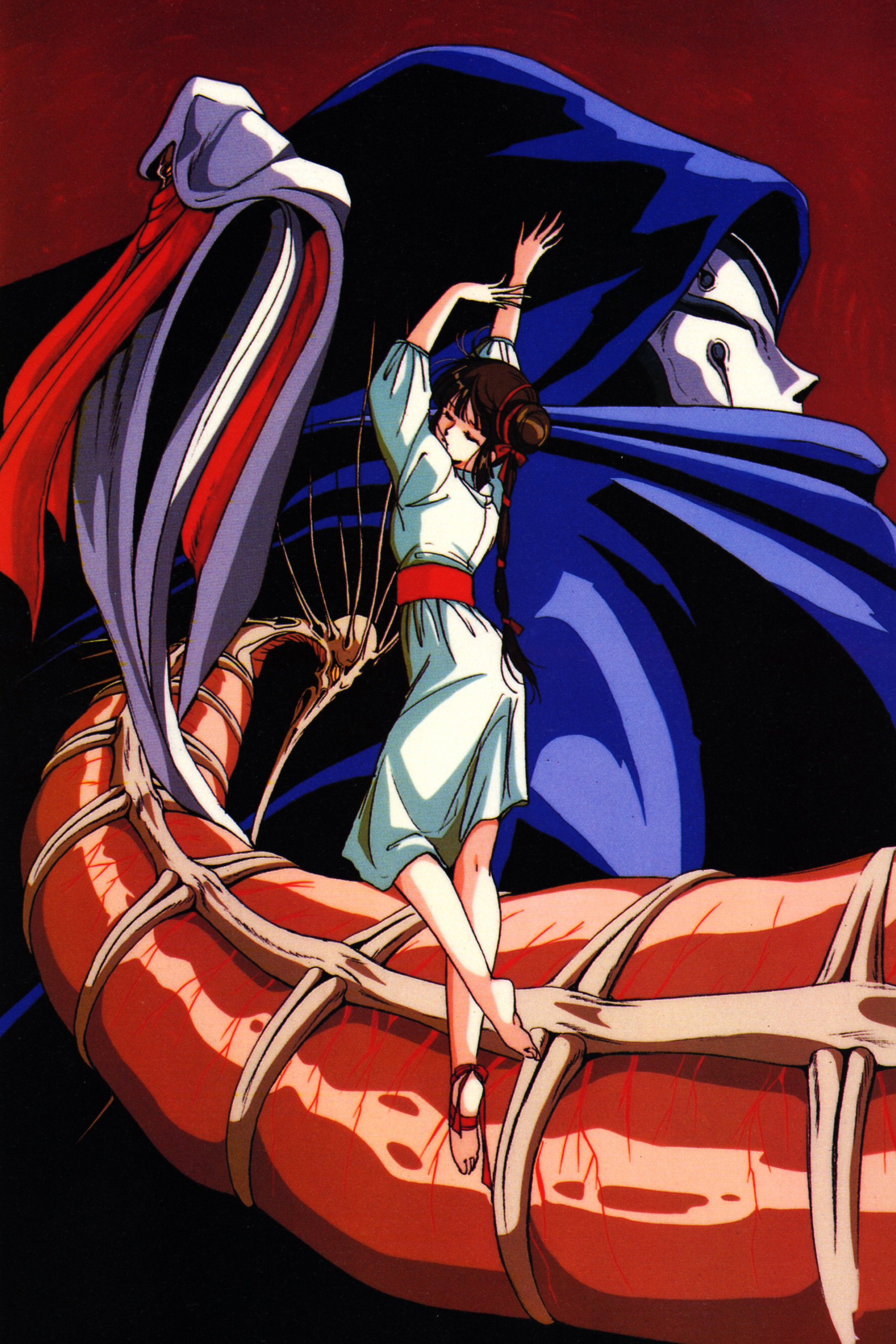 Vampire Princess Miyu poster