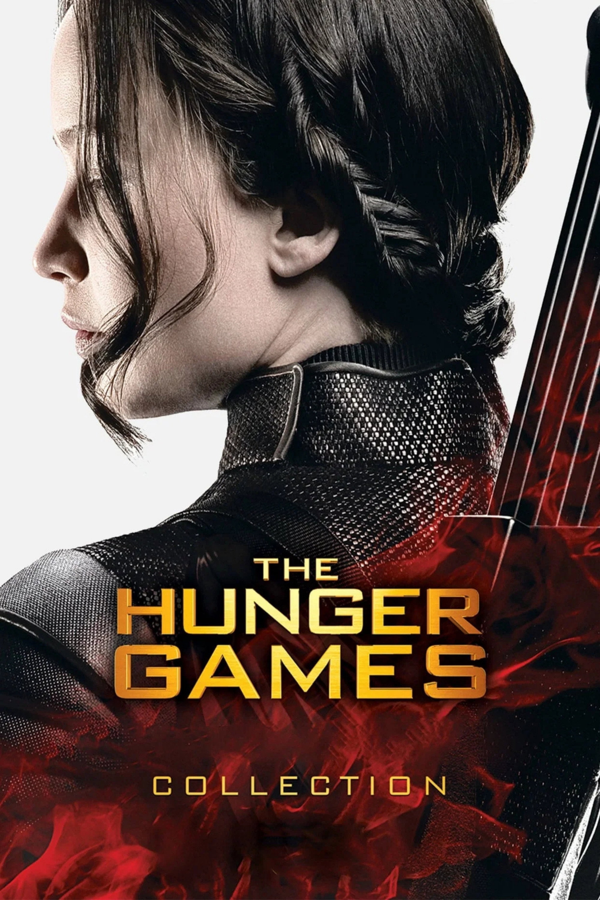 The Hunger Games Series poster