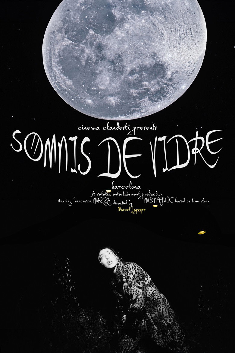 Somnis de Vidre poster