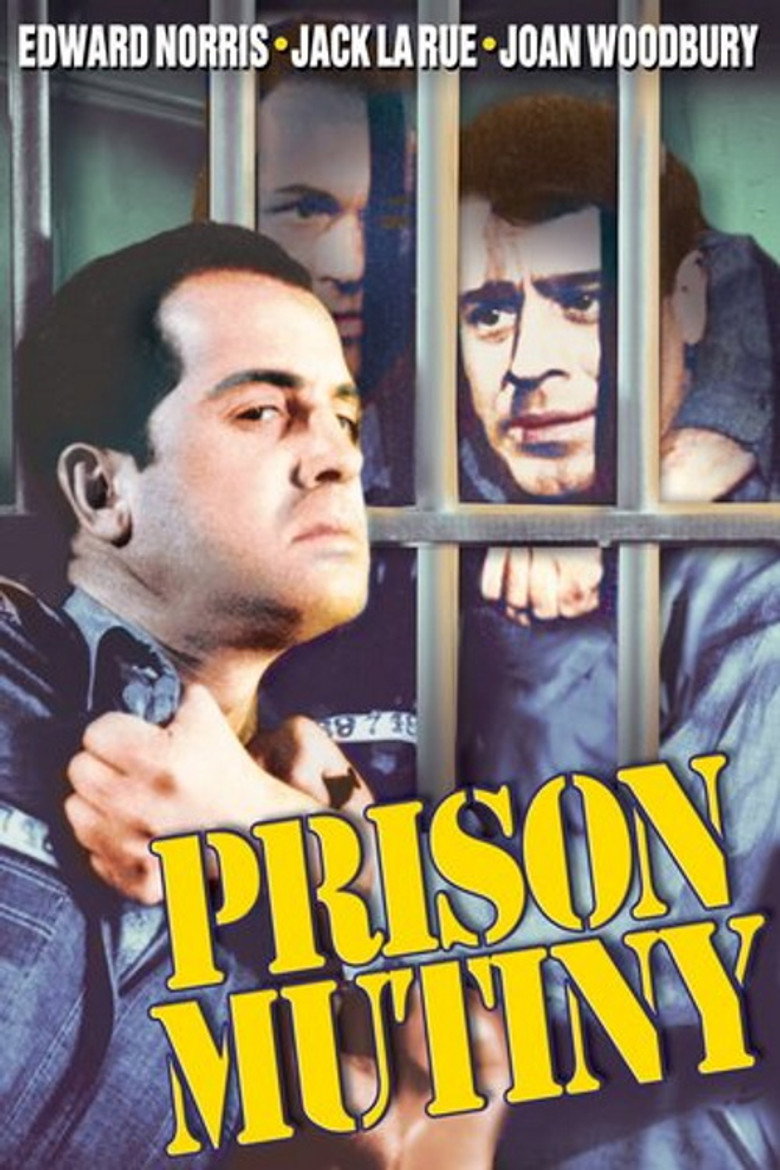 You Can't Beat the Law poster