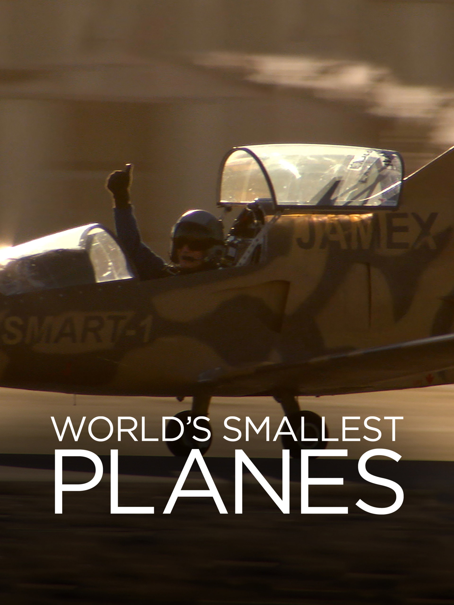 World's Smallest Planes poster