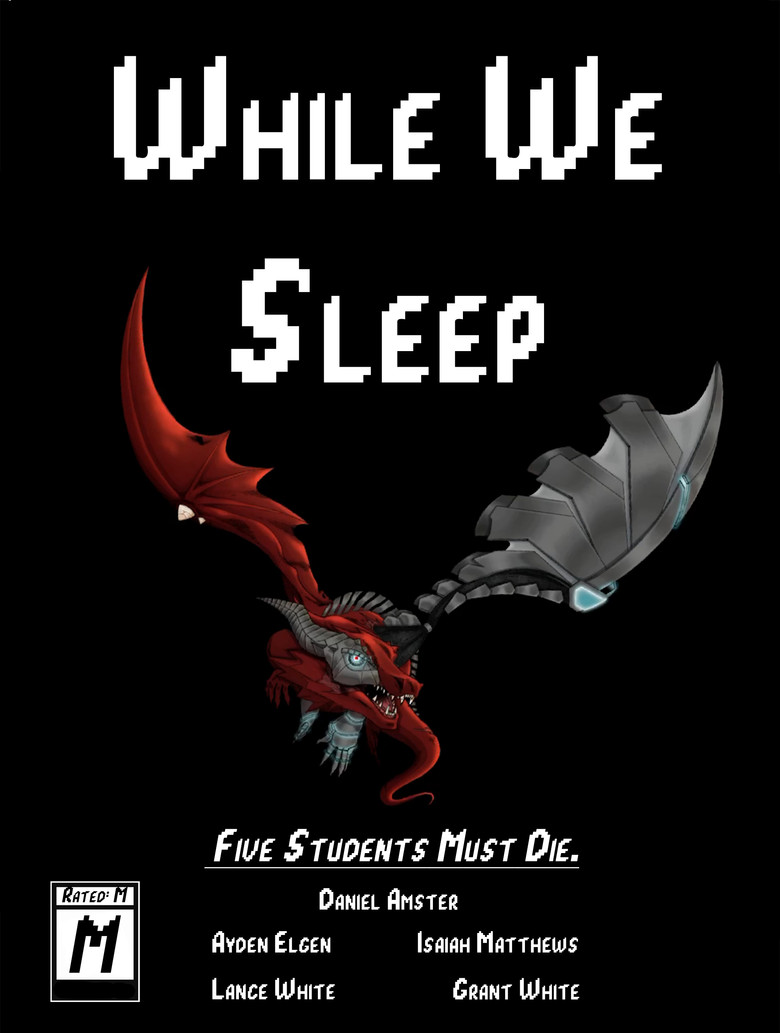 While We Sleep poster