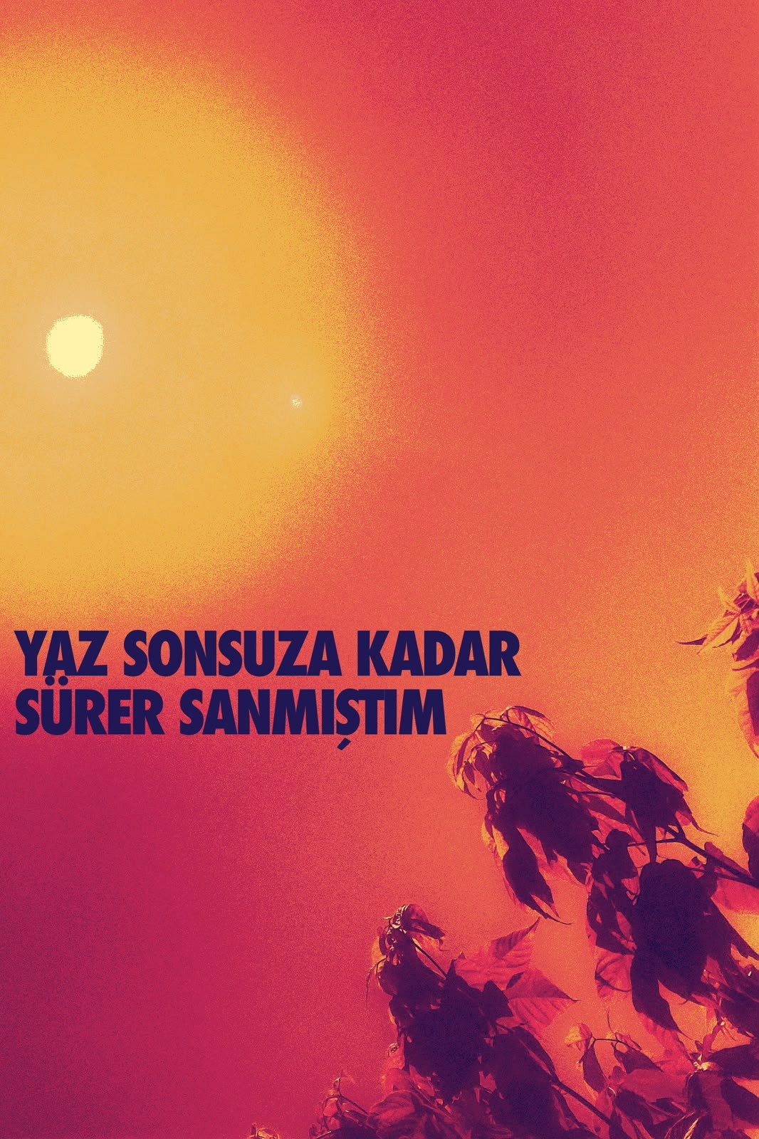 Yaz Sonsuza Kadar Sürer Sanmıştım poster