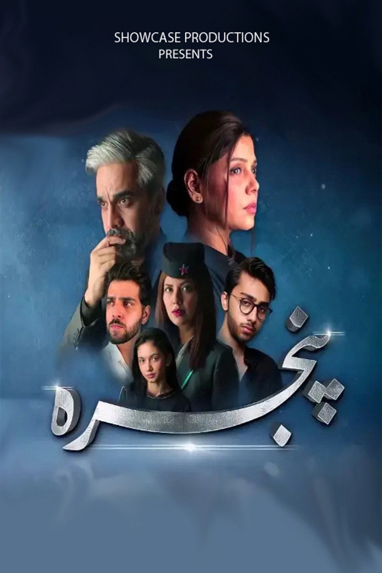 Pinjra poster