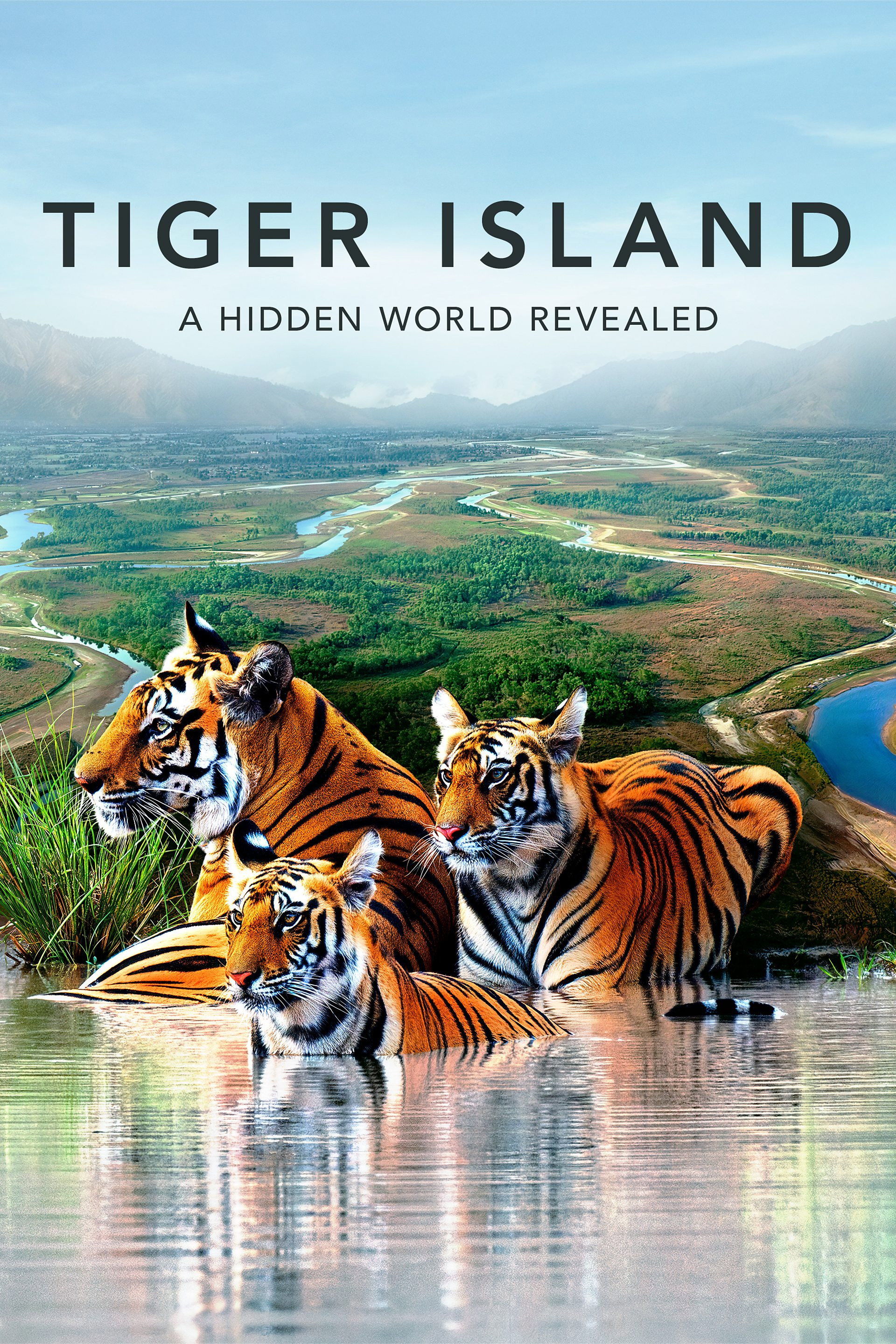 Tiger Island poster