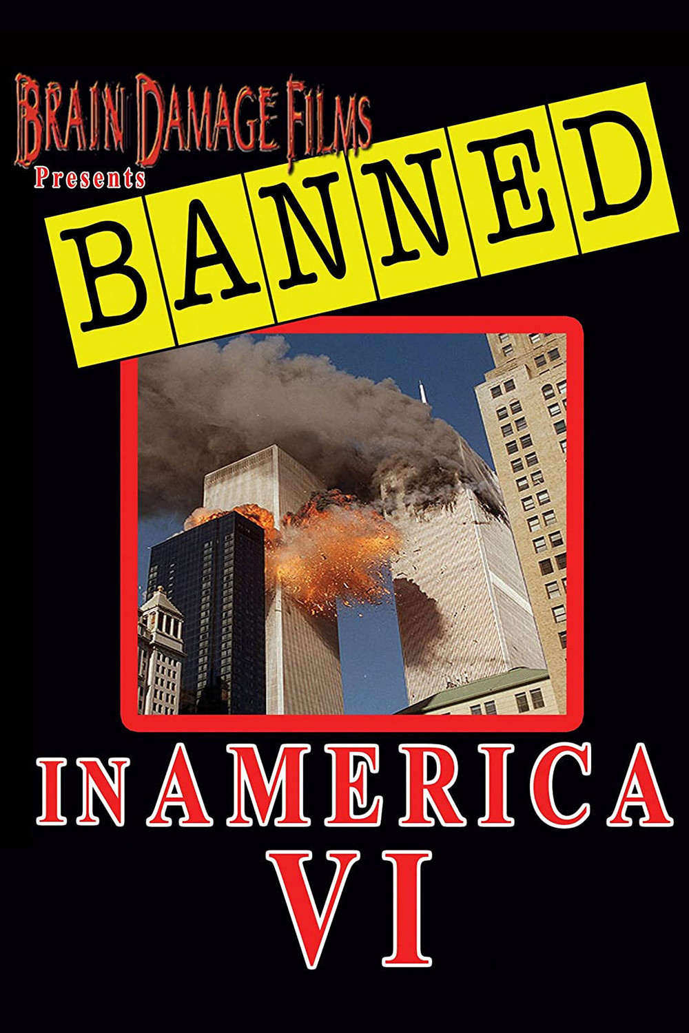 Banned! In America VI poster