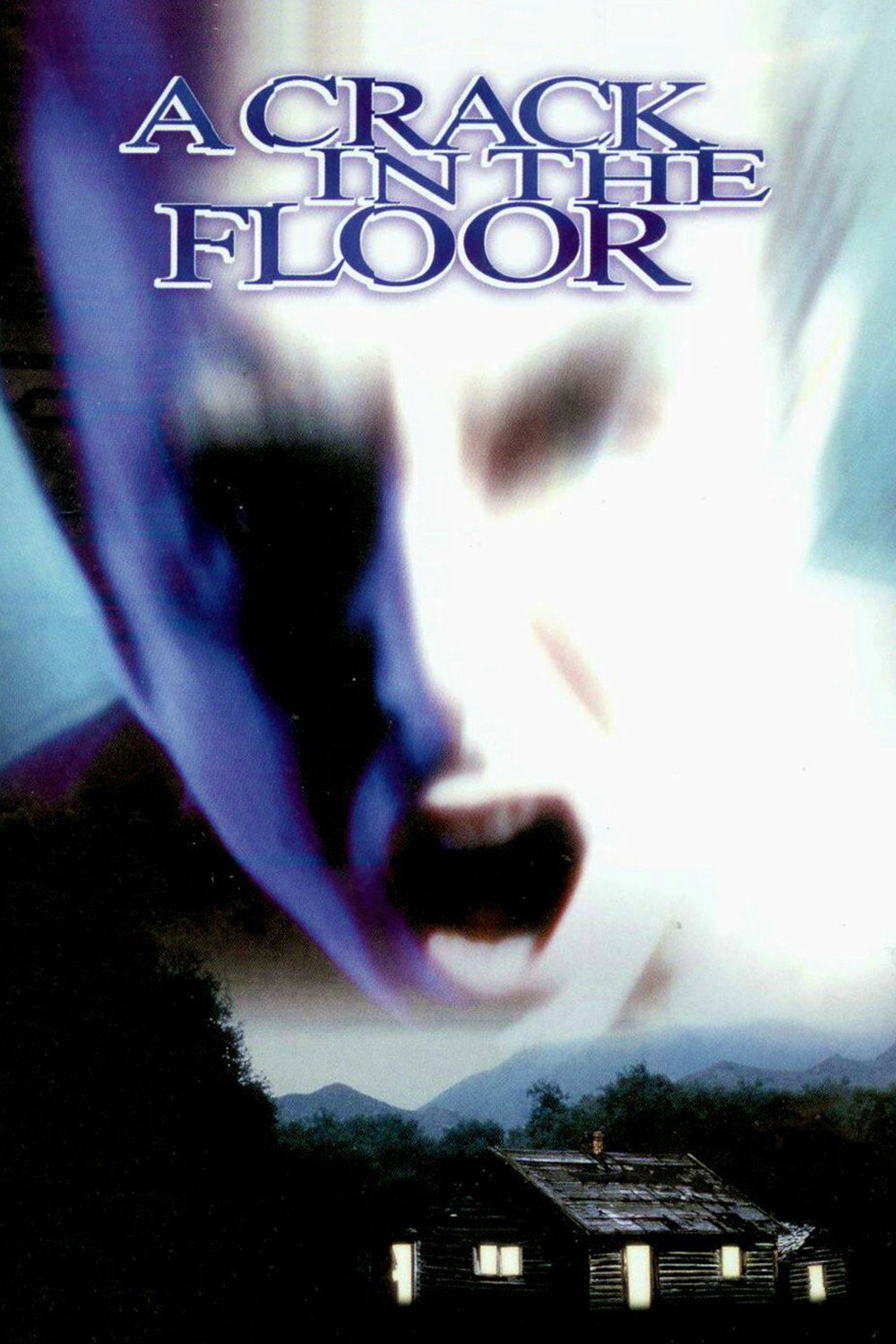 A Crack in the Floor poster