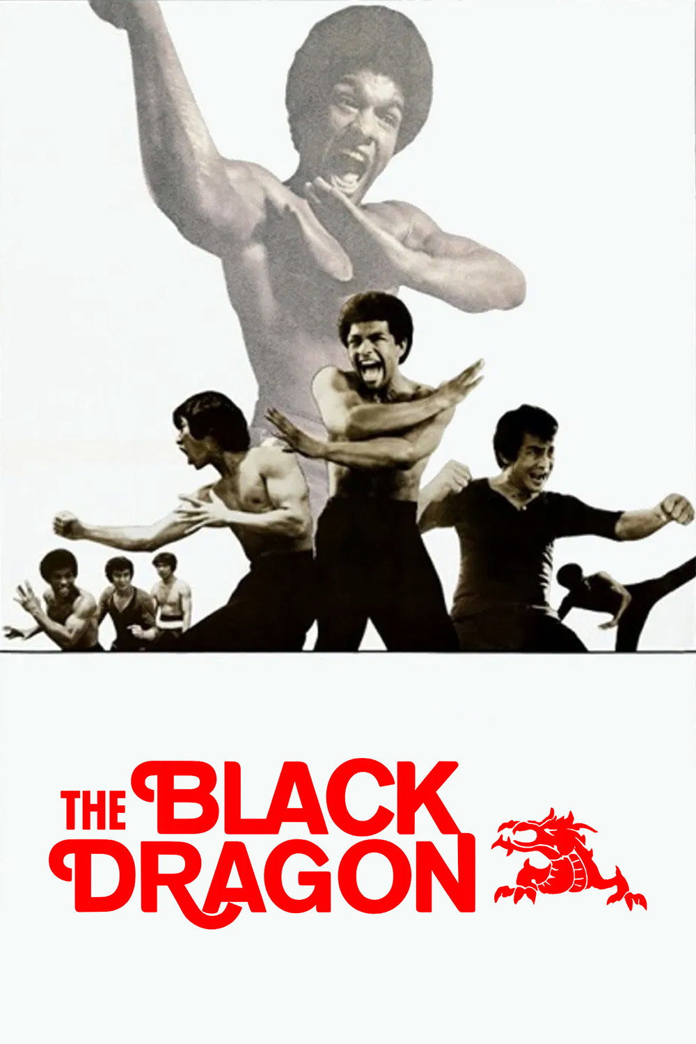The Black Dragon poster