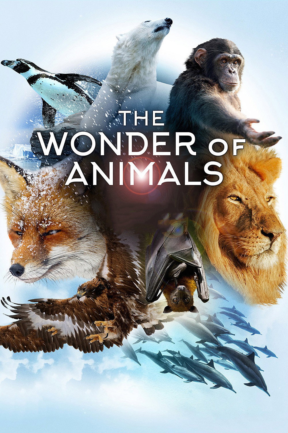 The Wonder of Animals poster
