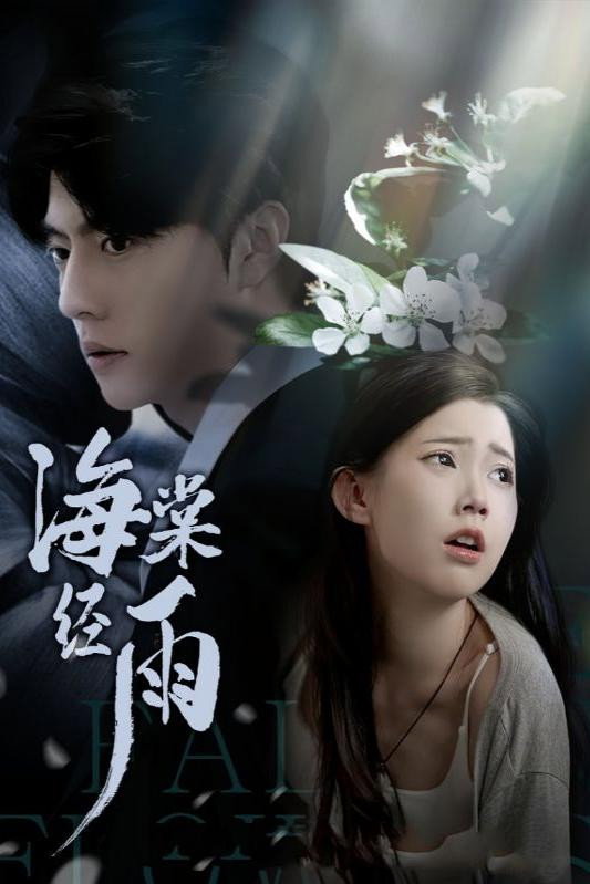 海棠经雨 poster