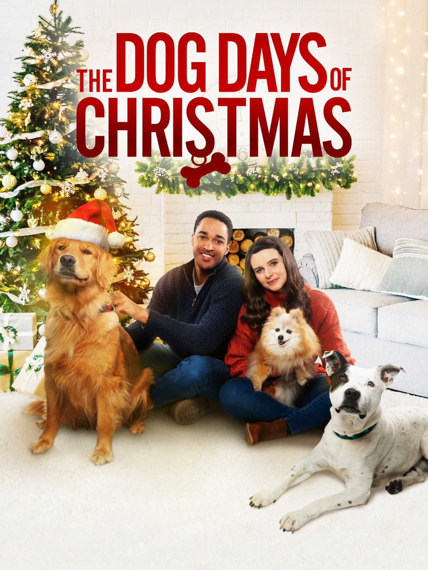 Sit. Stay. Love. poster