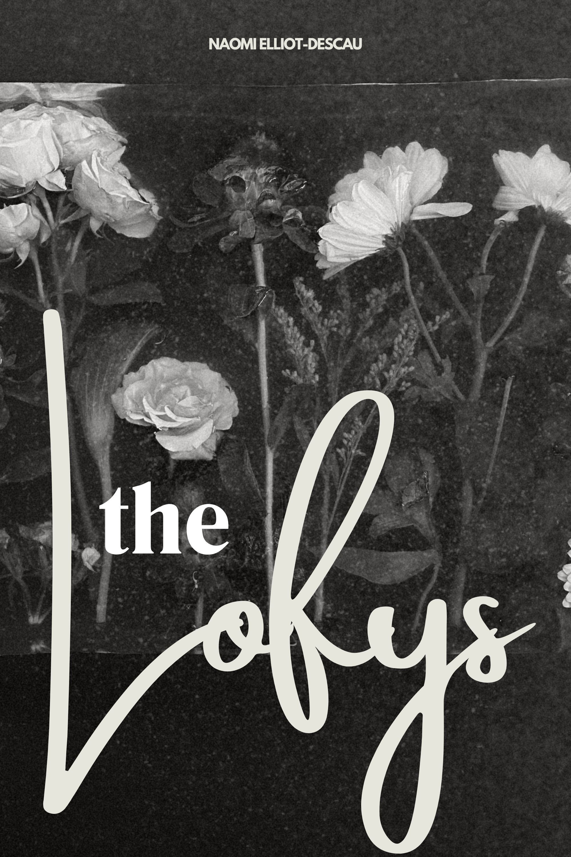 The Lofys poster