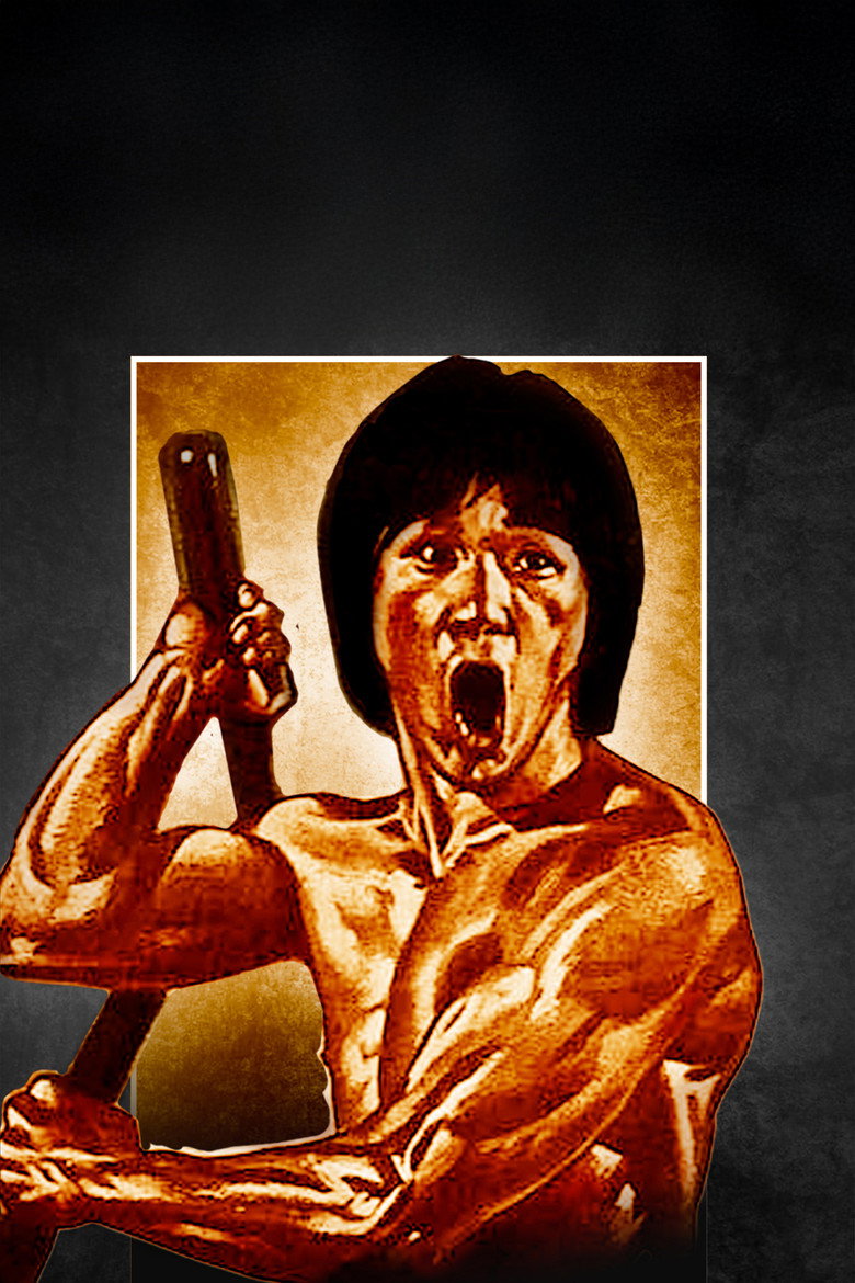 Bruce's Fists Of Vengeance poster