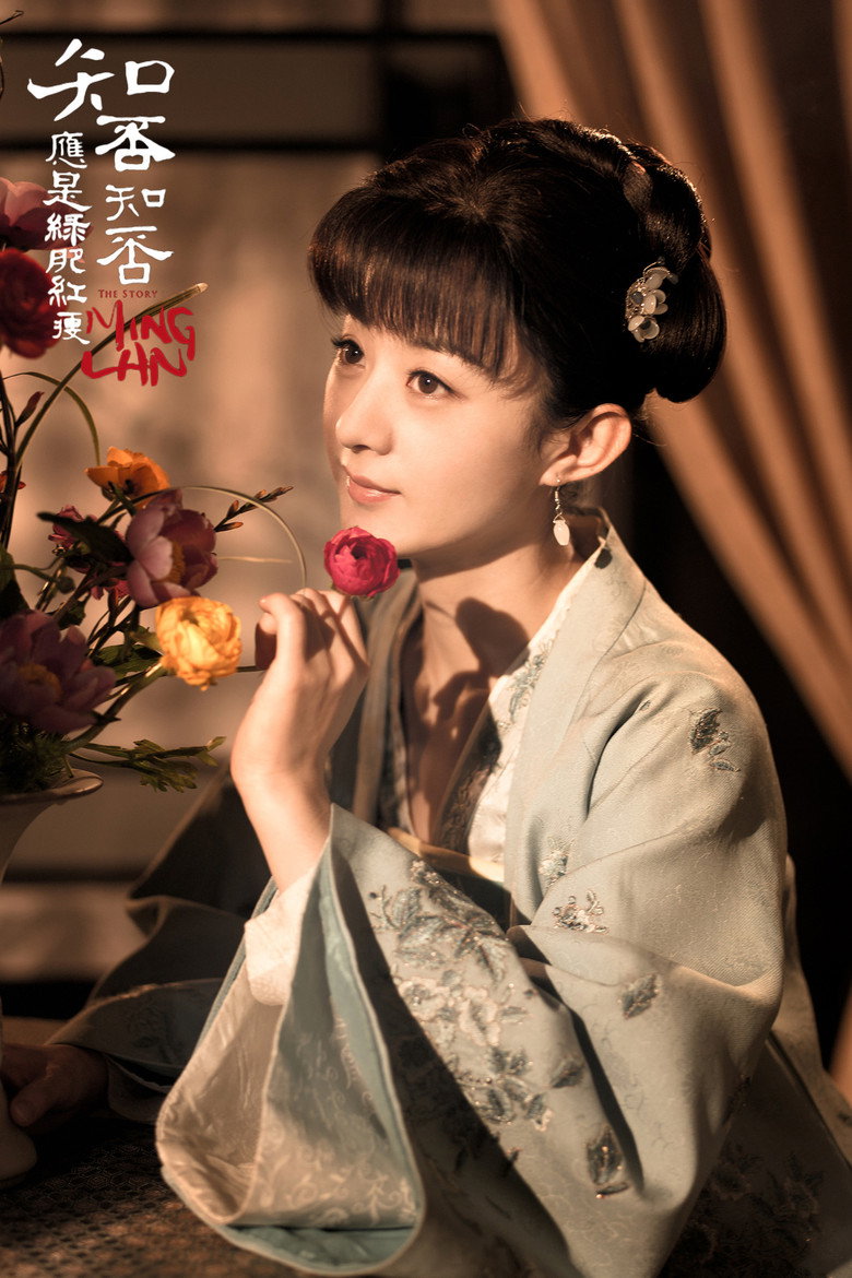 知否知否应是绿肥红瘦 poster