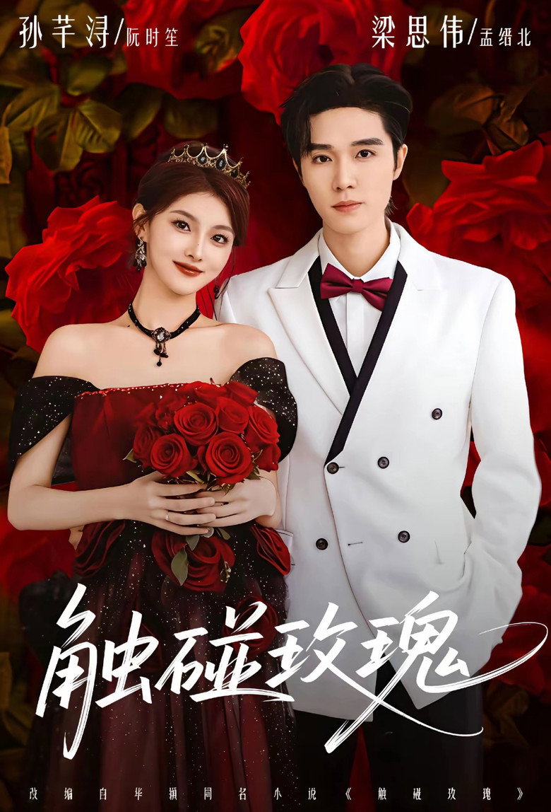 触碰玫瑰 poster