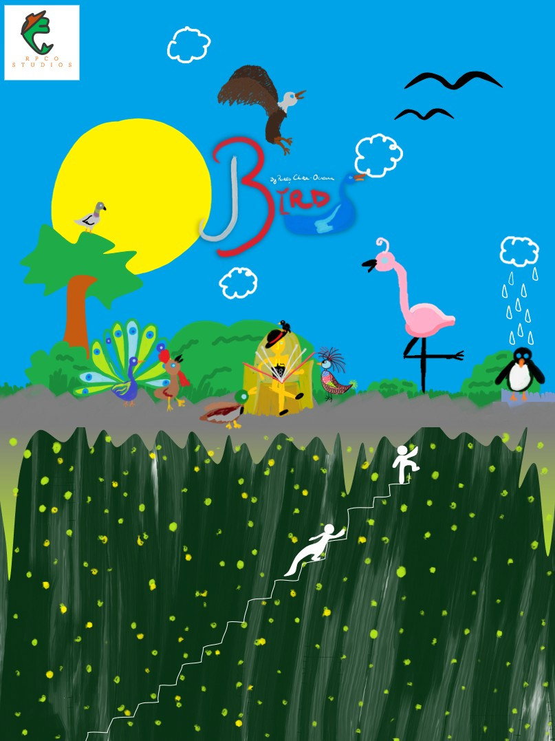 Birds by Rares Chira-Ocneanu poster