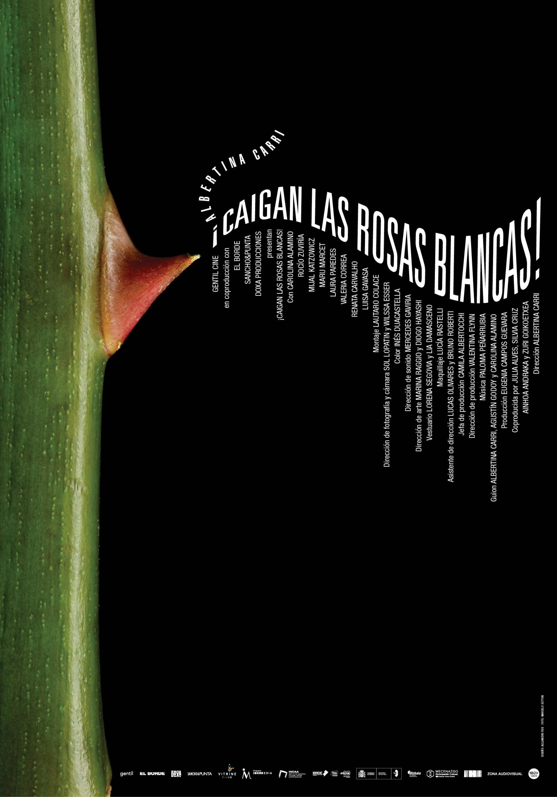 White Roses, Fall! poster