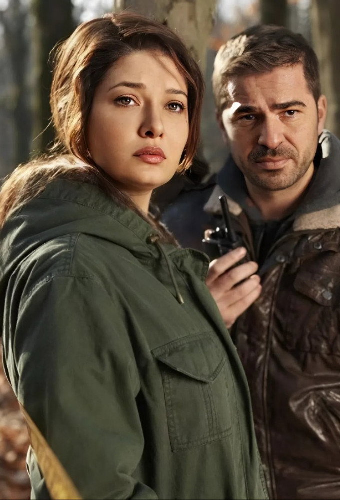 Cinayet poster